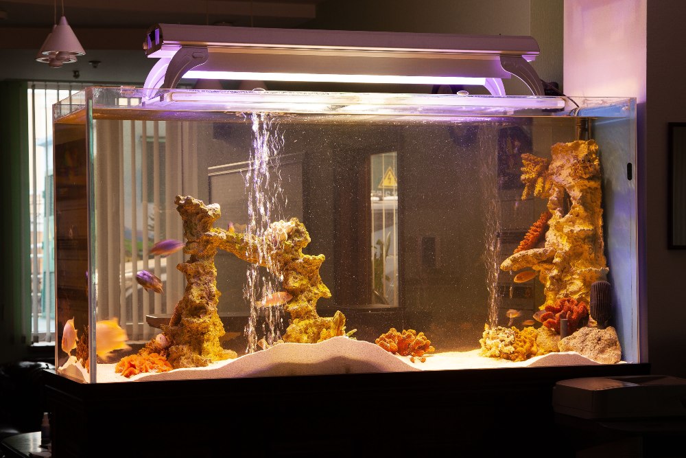 aquarium with fish with glowing yellow light lamp on top in dark room.