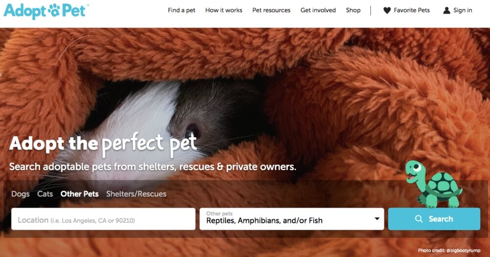 A screenshot of the homepage for adoptapet.com. The background is a white and brown gerbil hidden in an orange blanket. There is a search bar for pets across the bottom of the screen. A little cartoon turtle is in the right corner of the screen.